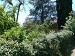 Photo 07